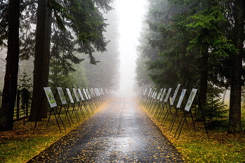 В осеннем лесу / Художественная выставка в осеннем лесу