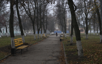 В сквере желтых скамеек... / ноябрьское утро...