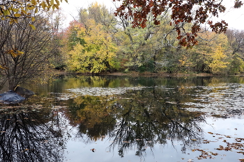 ноябрь... / ***