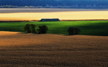 Пойма реки Оки и старицы . Окрестности Перемышля. / Форма,линия,цвет.