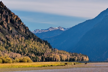 *Осенним днём.** / Горный Алтай.