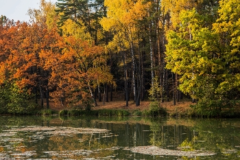 &nbsp; / залив Топуча,Татарстан,п.Васильево