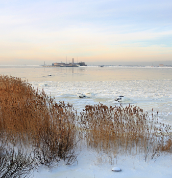 &nbsp; / декабрь