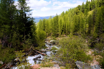 Горная речка / ...