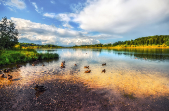 Воспоминания о лете / ***