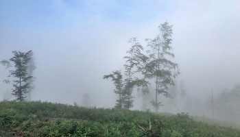 Поднимается густой туман из долины / Летние туманы