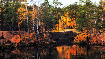 Контрасты золотой осени / Замечательна золотая осень на Южном Урале. Особенно в тихий и достаточно тёплый день. Побродить с фотоаппаратом по лесам и паркам в это время одно удовольствие. Надеюсь, и для вас тоже.
Челябинск. Парк Гагарина. Середина октября.

Autunno d'oro sugli Urali meridionali. Russia.