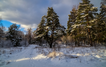 Начало Подмосковной зимы # 03 / 04 декабря. 2021 года. Восточное Подмосковье. Дрезна