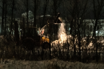 Жизнь вокруг / Описание