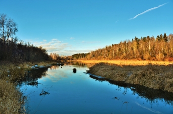 &quot;Дни поздней осени бранят обыкновенно, но мне она мила...&quot; / Ноябрь ...