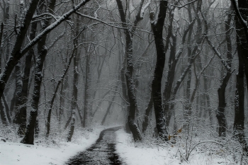 Метель....... / Железноводск. Ноябрь
