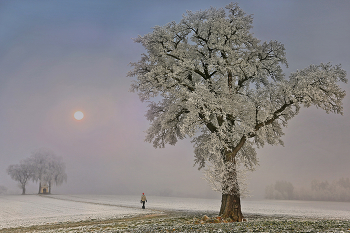 &nbsp; / Morgenspaziergang