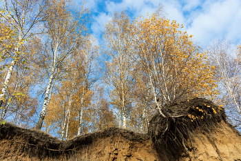 Небес коснуться...и земли... / Октябрь - 2021.