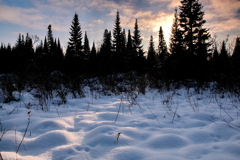*Декабрьским днём.** / Томская область.