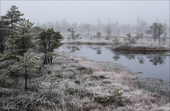 &nbsp; / Балтика