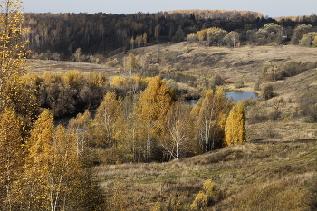 река Осётр в Зарайском районе (Московская область) / река Осётр в Зарайском районе (Московская область)