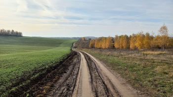 Осенний пейзаж в Зарайском районе (Московская область) / Осенний пейзаж в Зарайском районе (Московская область)