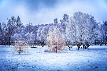 Зимняя Сказка. / Зимняя Сказка.