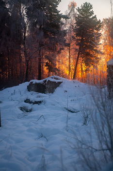 &nbsp; / Про конягу