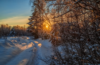 Декабрь, солнце и мороз 04 / 11 декабря 2021 года, восточное Подмосковье, Дрезна....