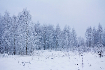 Зимняя синева / ***