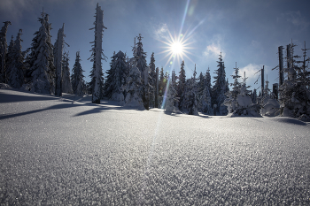 &nbsp; / Sunstar on a blue sky winter day over Mount Lusen in the Bavarian Forest Nature Reserve, Germany, Europe