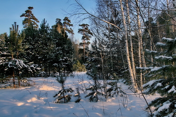 Декабрь. / Томская область.