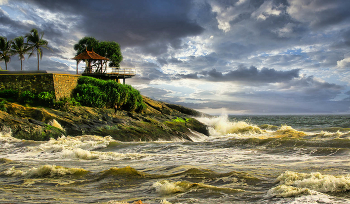 У океана / Шри-Ланка, Бентота