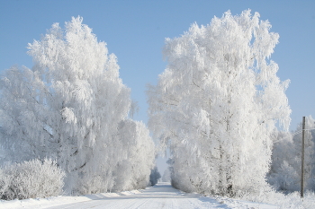 Зимняя дорога / Солнечный зимний день.