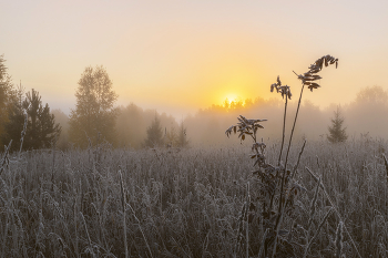 Морозный рассвет / Утро в начале октября, первые заморозки, иней и туман.