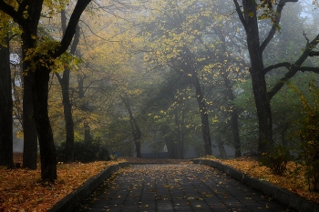 Кавказская осень.... / Железноводск. Октябрь