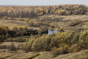 река Осётр в Зарайском районе (Московская область) / река Осётр в Зарайском районе (Московская область)