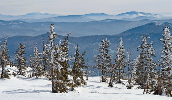Таежные дали / В мороз тайга похожа на море.. словно бескрайние волны бегут вдалеке.