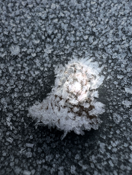  / Sometimes in winter