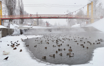 Пришедшие морозы сковали реку / Пришедшие морозы сковали реку, осталась небольшая полынья для птиц