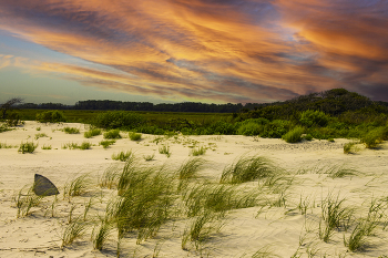  / The Beautiful Sunset on the Beach, is a beautiful sunset taken at Folly Beach, in Folly Beach, South Carolina.