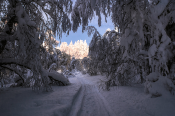 Дорога к свету / Зимний лес