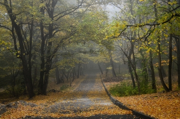 Пути осенние........... / Железноводск. Октябрь