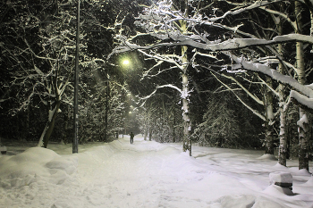 Снежит / В центре Петрозаводска ранним утром