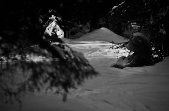 &nbsp; / кого только на лыжне не встретишь)