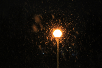 Снег идёт / Раннее утро в парке в центре Петрозаводска