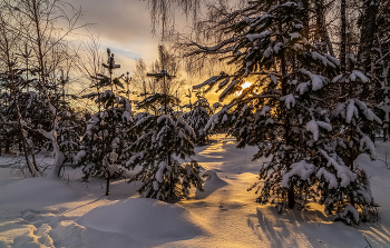 Морозное декабрьское утро. / 26 декабря 2021 года . Дальний восток Московской области. Дрезна...