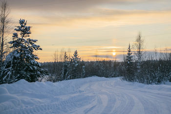 Дорогами севера / Таежная дорога после снегопада на закате короткого зимнего дня.