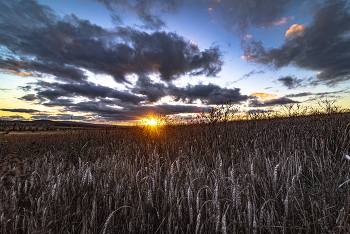 Завершение дня / Кубань