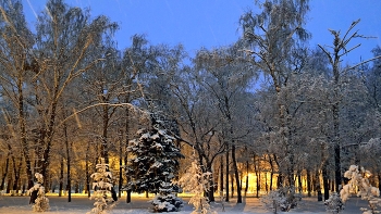 Зимний вечер / Коломна. Парк Мира