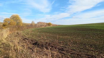 Осенний пейзаж в Зарайском районе (Московская область) / Осенний пейзаж в Зарайском районе (Московская область)