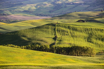 Зеленые холмы / Тоскана