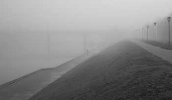 В ноябрьских туманах...* / Утренний город....