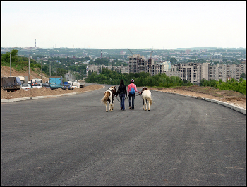 Прогулка / Прогулка