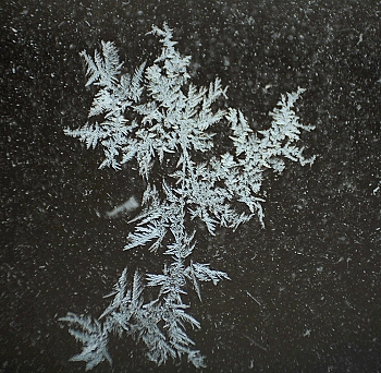 Новое в звёздном небе. / Рисуют на стекле матушка Зима и дед Мороз.